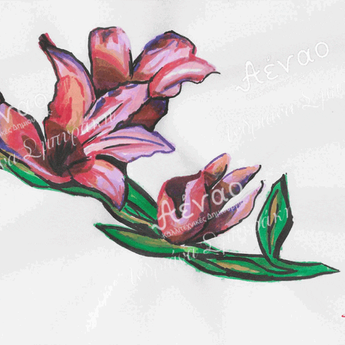 καρτ ποστάλ "Μαχαιρίδα"