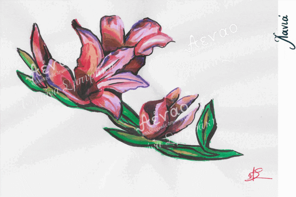 καρτ ποστάλ "Μαχαιρίδα"